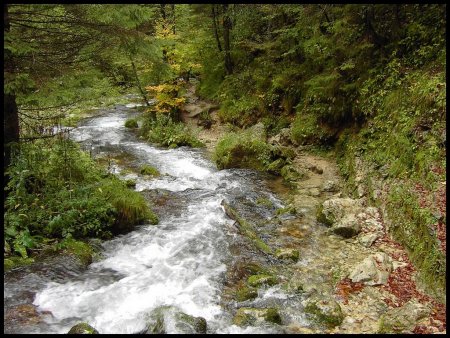 Sur la rive droite du Bruyant. Regard arrière.