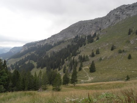 Le flanc est de la montagne de Sous-Dîne vu du crêt de l’Ébat.