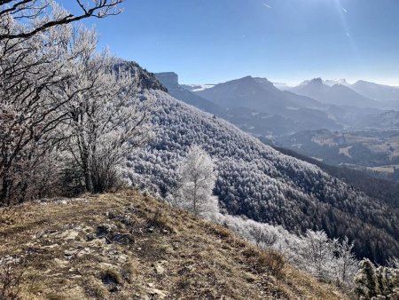 Tout au fond, à droite, la Dent de Crolles dont la neige lustrée brille au soleil.