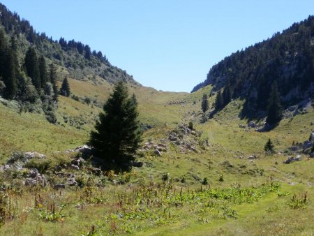 Montée dans la combe d’Ablon.