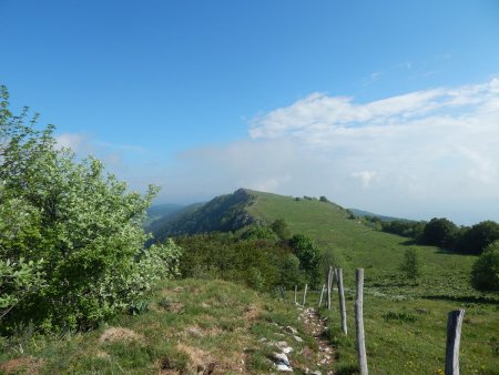 sur la crête