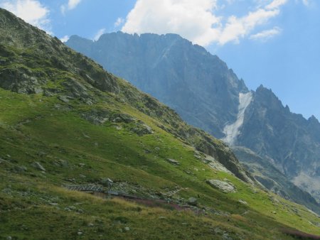 Bientôt arrivé au Refuge de Temple Écrins, dont on aperçoit le toit derrière des épilobes. Le tout sur fond d’Ailefroide.