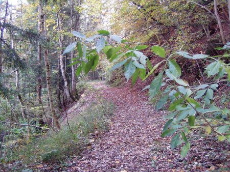 le chemin de la montée