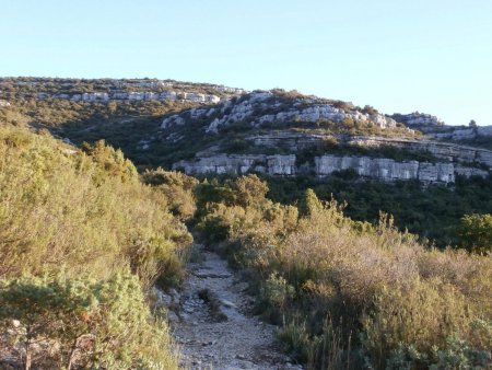 Descente sur les Grands Chênes ; vue en arrière sur la montagne.