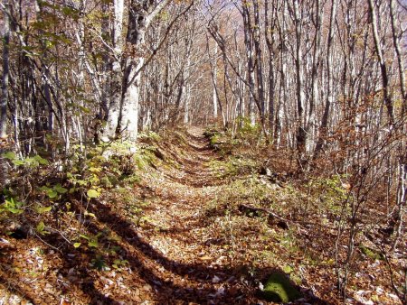 Le sentier en crête