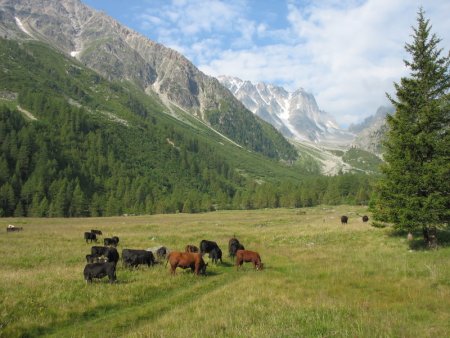 Val d’Arpette