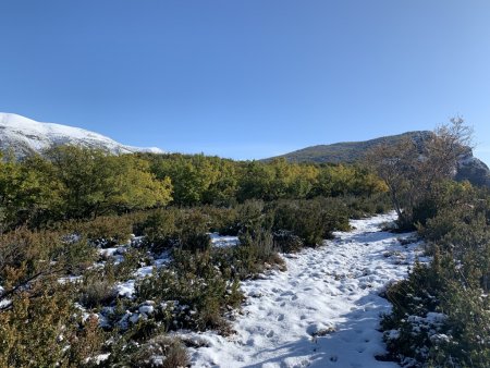 La crête. 