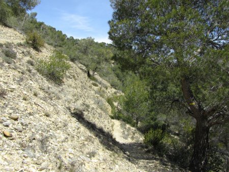 Le sentier (balisage jaune).