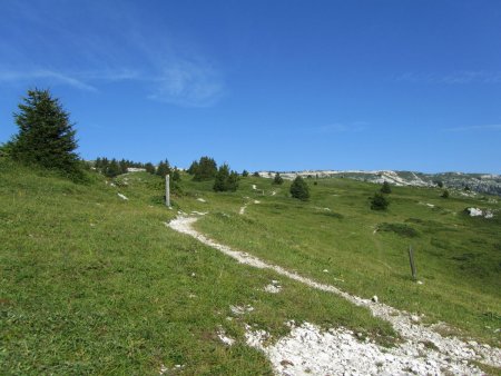 Le plateau du Margériaz.