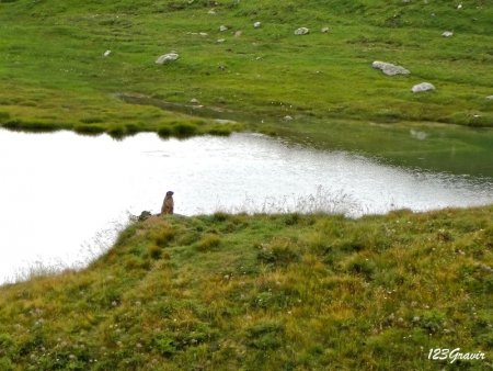 J1 : Guetteur sur fond de Lago Toggia