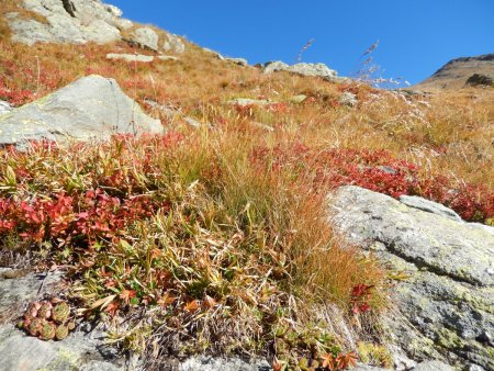 Couleur d’automne