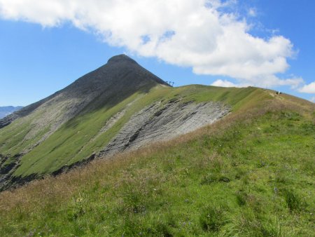 La crête sommitale.