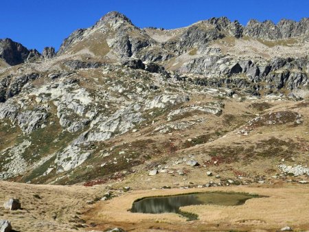 Petit marais et roselière