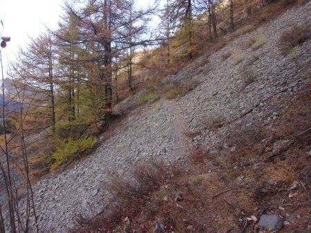 un sentier qui monte un peu