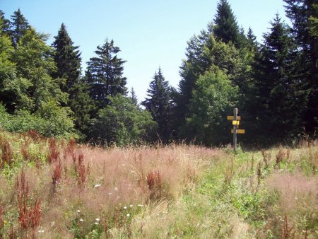 l’arrivée au Col du Grapillon