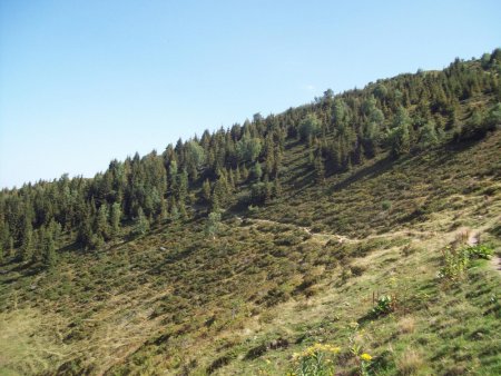 le chemin à flanc de colline