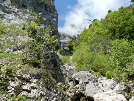 Le site de la source du Cernon.