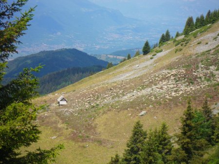 Les moutons se reposent à la baraque du Colon.