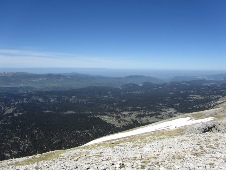 Les grandes forêts du Vercors.