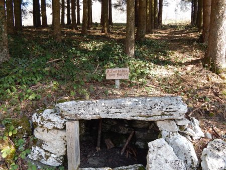 Fontaine aux boeufs