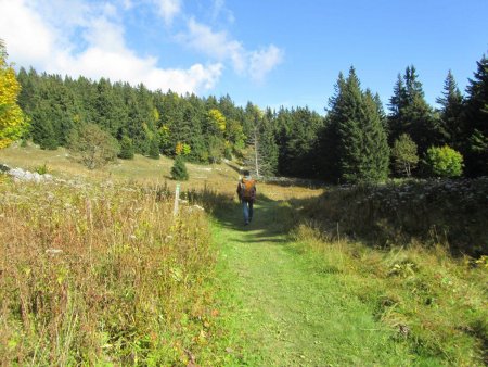 Une des rares clairières de ce parcours essentiellement boisé.