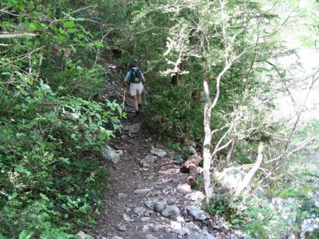 Sentier de l’Imbut et sentier Vidal