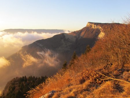 Couleurs chaudes de la fin d’après midi.