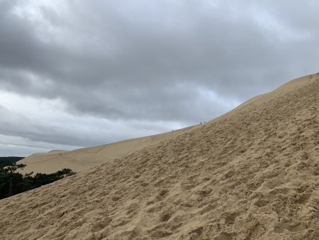 Face est de la dune. 