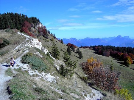 Au Pas de Bellecombe