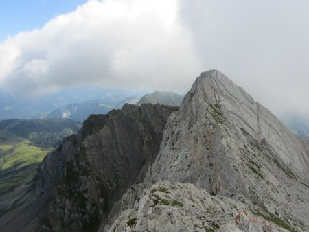 Une partie de l’arête.