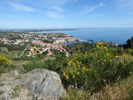 Vue arrière sur Collioure