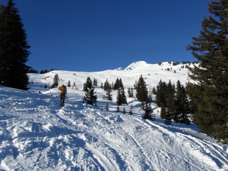 La sortie de la forêt.