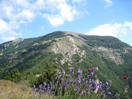 La Tête de la Dame