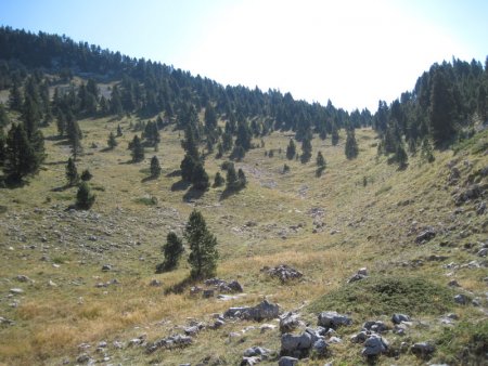 Hors sentier en direction de la Grande Baraque