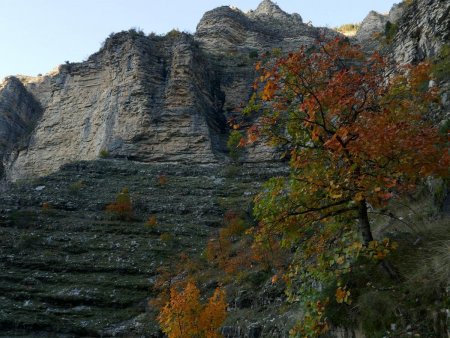 La végétation au bas des gradins témoigne d’une certaine capacité à retenir l’humidité