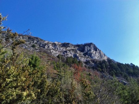 Départ en sous-bois, direction la falaise