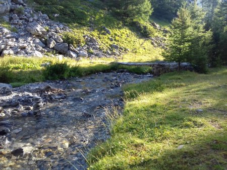 Et sa passerelle pour les téméraires