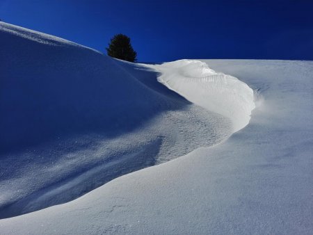 Belle piste de Bobsleigh