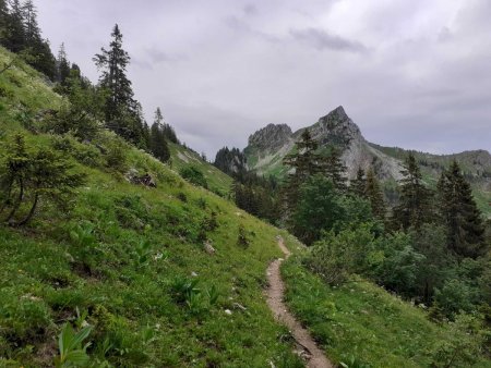 Le sentier vers la face Ouest