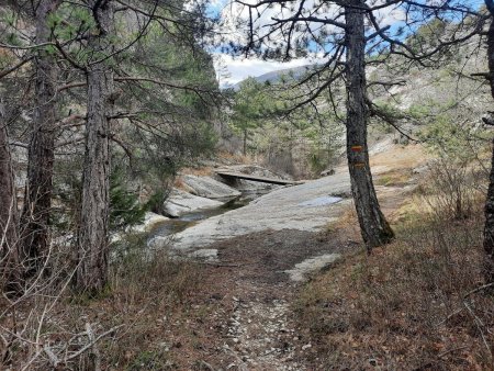 Gorges du Riou