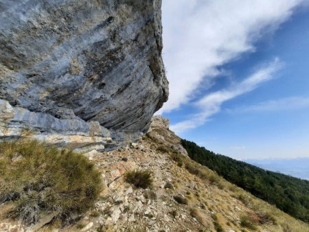 Dans le rétro