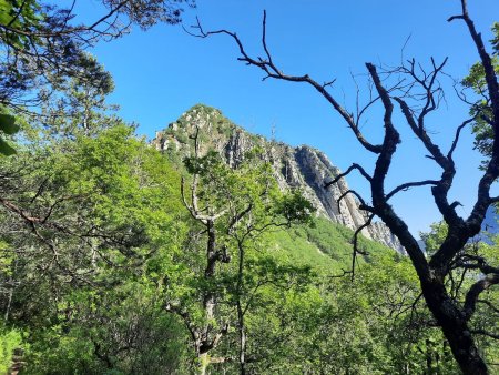 On s’éloigne de la Valbonette