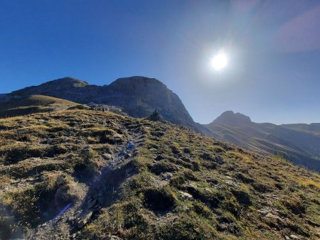 Sur la crête herbeuse