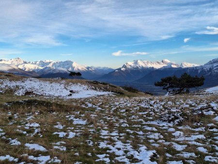 Les arbres du replat de Pré Rond, et la montagne de Faraut