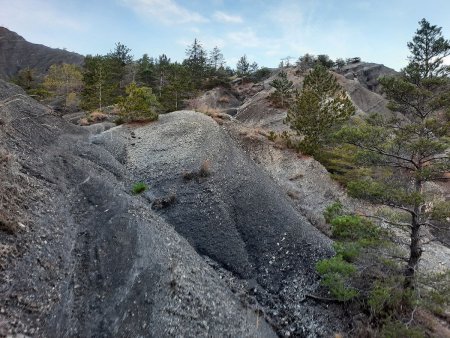 Beau sentier dans les marnes