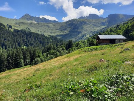 Descente par le versant du Ruisseau du Dorinet