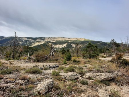 Puy de Rent