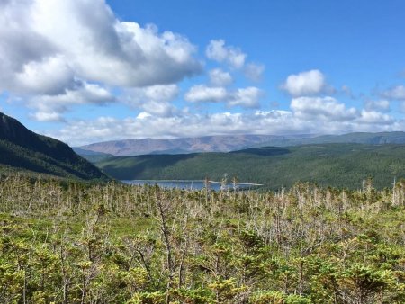 Sortit de la forêt, les Tablelands nous saluent au loin