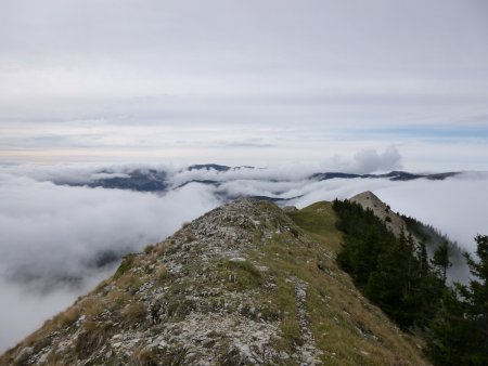 Crête dans le rétro