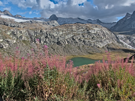 Le glacier du Ruitor vu du Rifugio Deffeyes